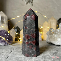 Arfvedsonite with Garnet Crystal Tower | Crystal Stone Decor