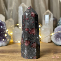Arfvedsonite with Garnet Crystal Tower | Crystal Stone Decor